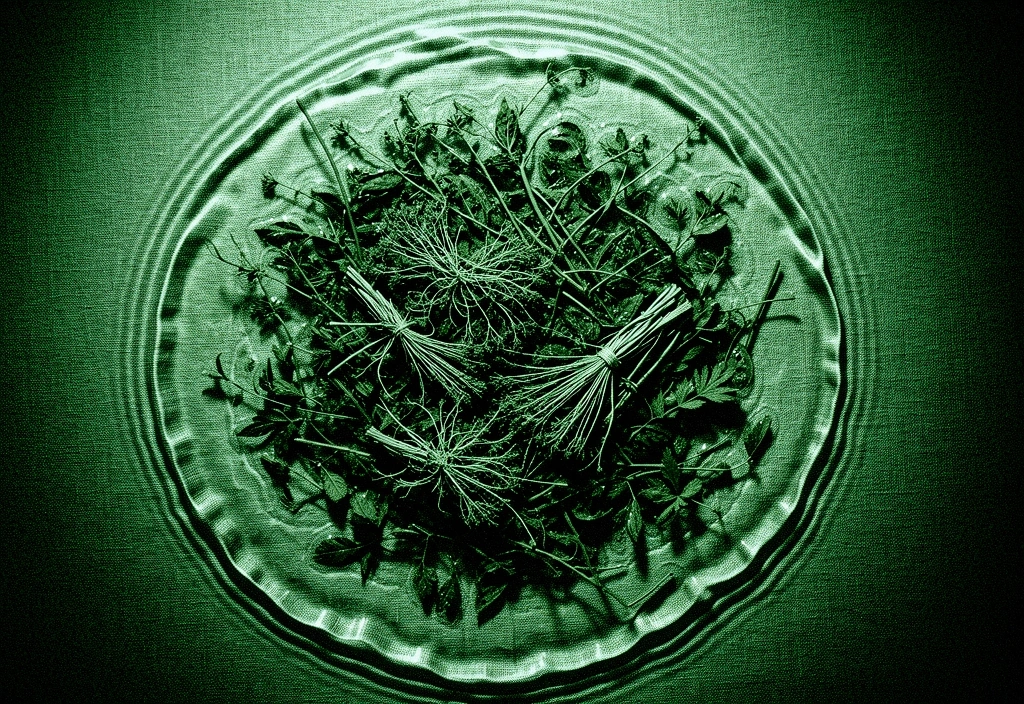 Fiber texture detail